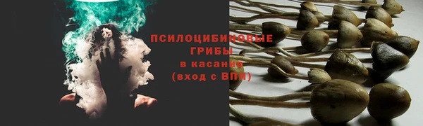 синтетический гашиш Богданович