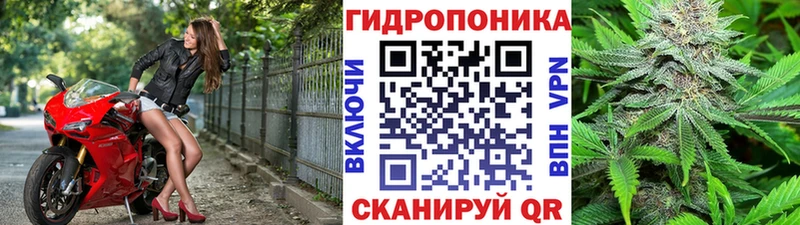 Купить  Ахтубинск  Канабис планчик 